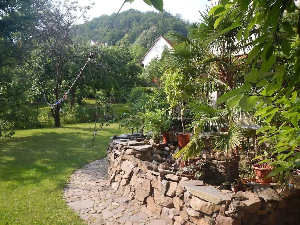 Ferienwohnung TreeHouse_Dresden